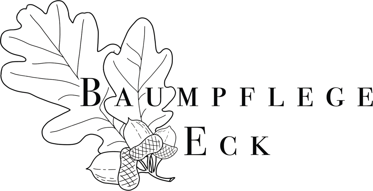 Baumpflege Eck