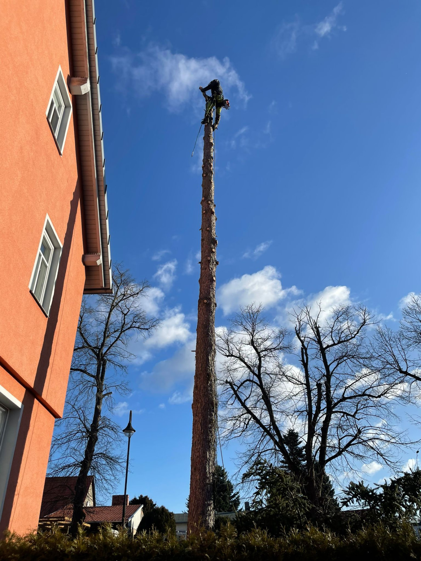 Baumpfleger arbeitet an der Spitze eines entrindeten Baumstamms direkt an einem Haus